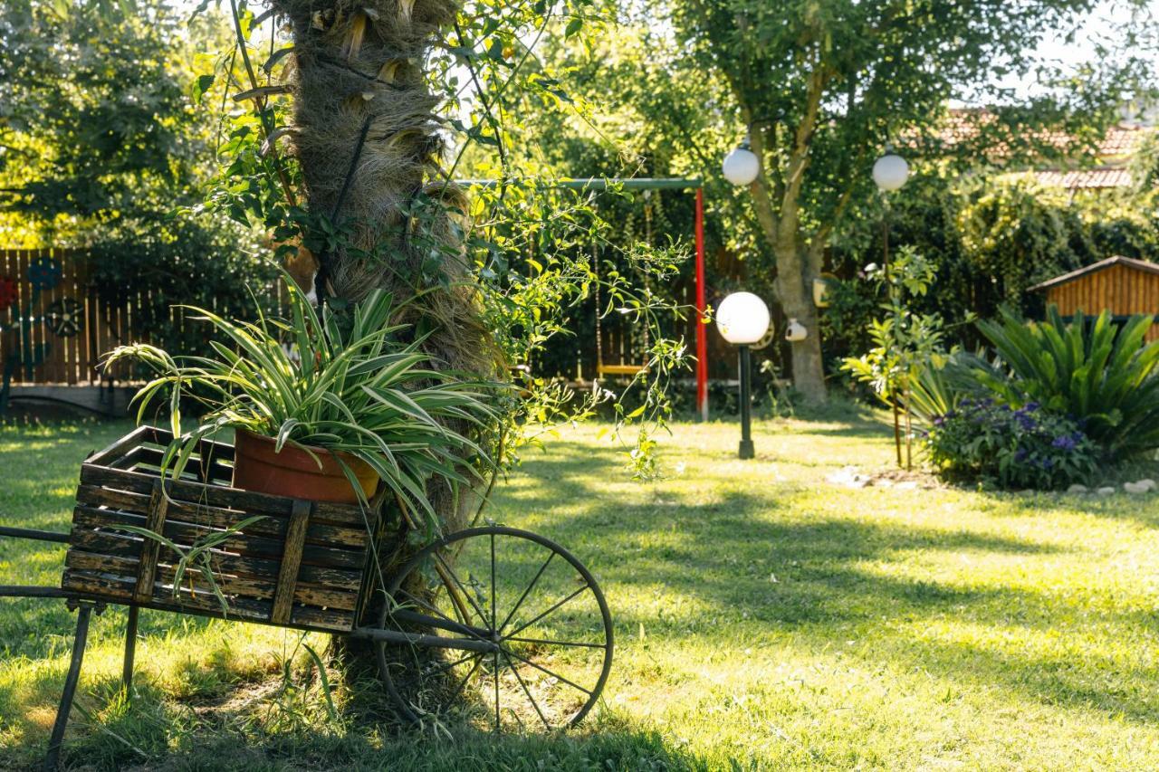 Katia Studios Sykia Chalkidikis Exterior photo